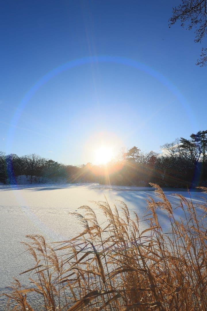 レンズ(単焦点) CANON EF 20mm F2.8 USM