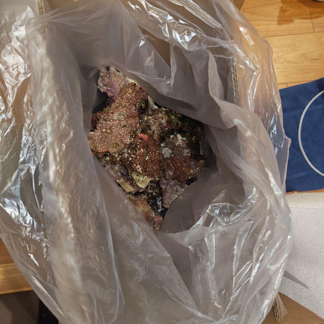 人工ライブロック 約13kg