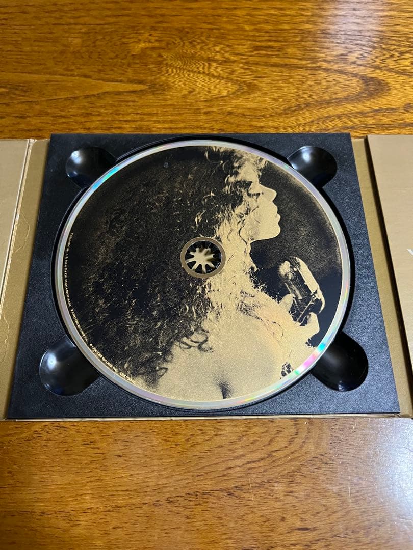 [激レア・海外プロモ盤] マライア・キャリー 「VISION OF LOVE」