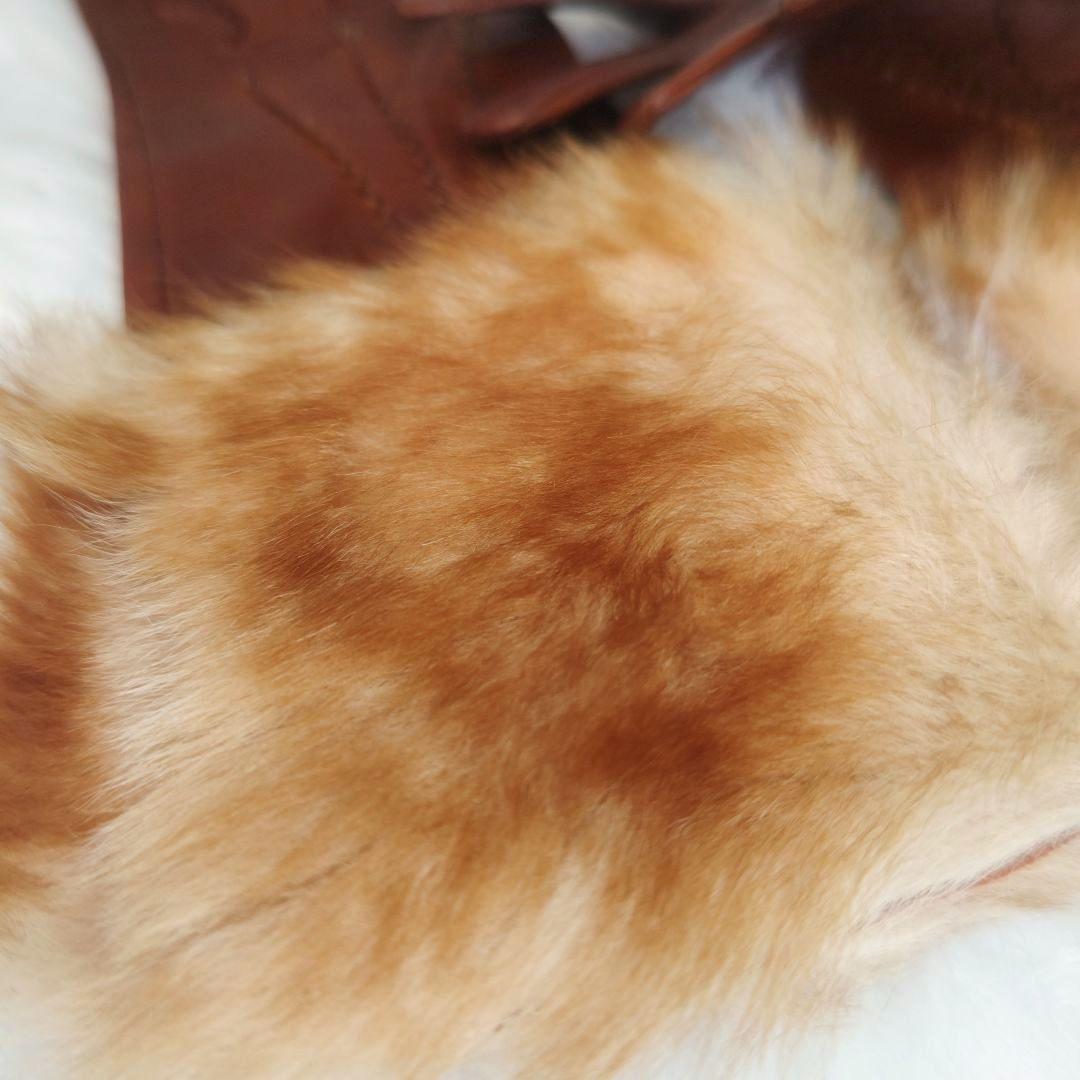 D＆G　ドルチェアンド　ガッバーナ　レザー　革　ファー　グローブ　手袋　S