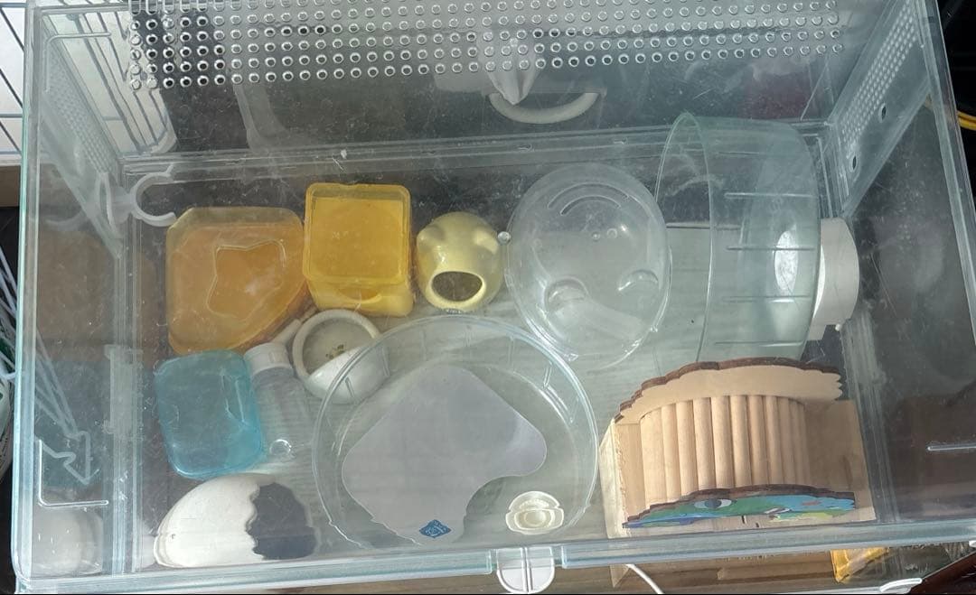 Gex グラスハーモニー 600 ハムスター ケージ 小動物 飼育セット