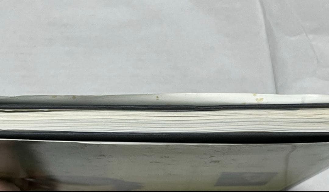 Larry Clark ラリークラーク　写真集　ドイツ　SKATE 洋書