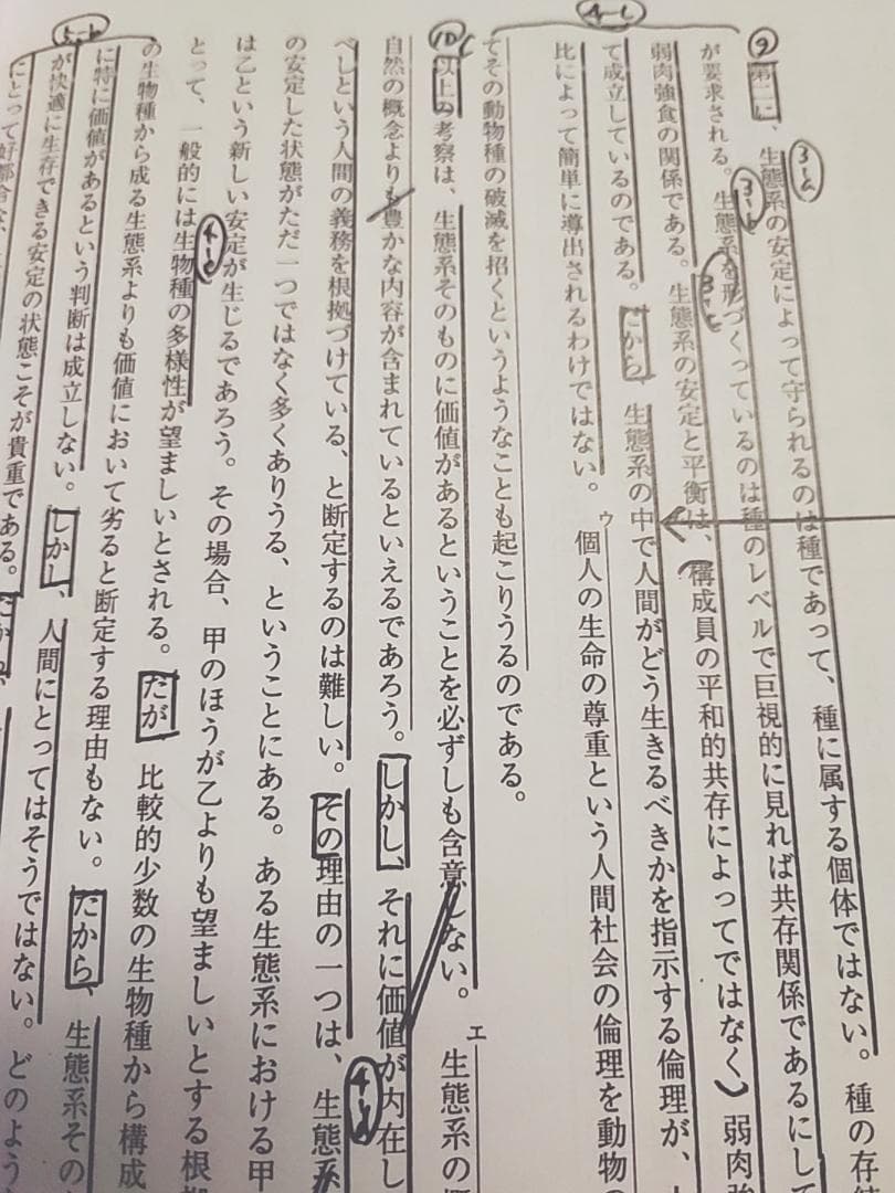 東進　林修先生の23年度東大特進東大現代文通年分フルセット　駿台　河合塾　鉄緑会
