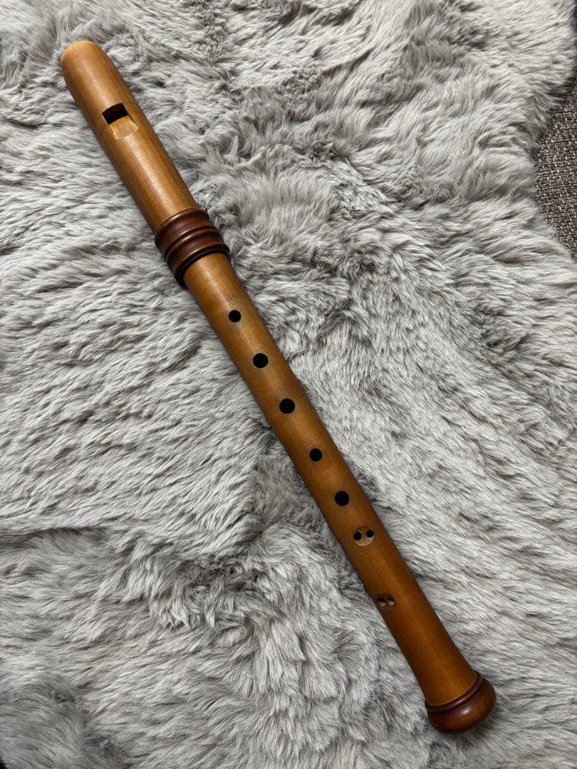 モーレンハウエル　ドリームシリーズ　アルトリコーダー