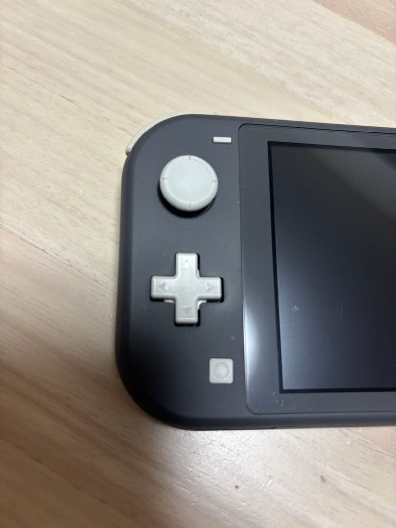 Switch Lite グレー ケース 充電器microSD 128GB付