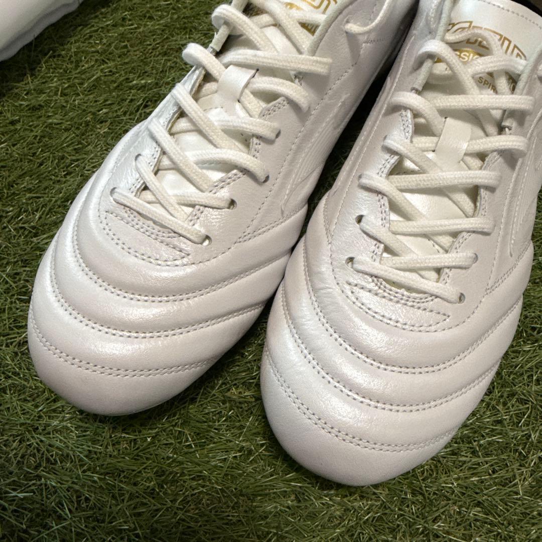 MORELIA UL JAPAN 40th モレリアul