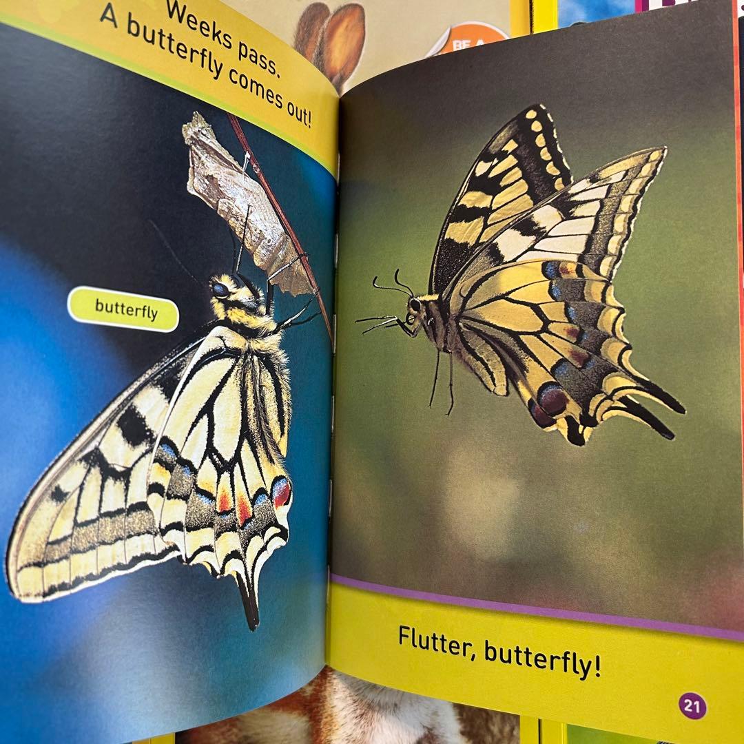 National Geographic Kids 155冊 マイヤペン対応