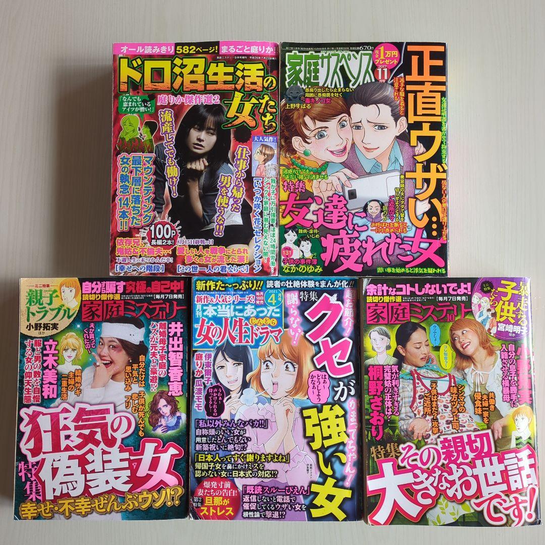 レディースコミック　レディコミ　5冊セット