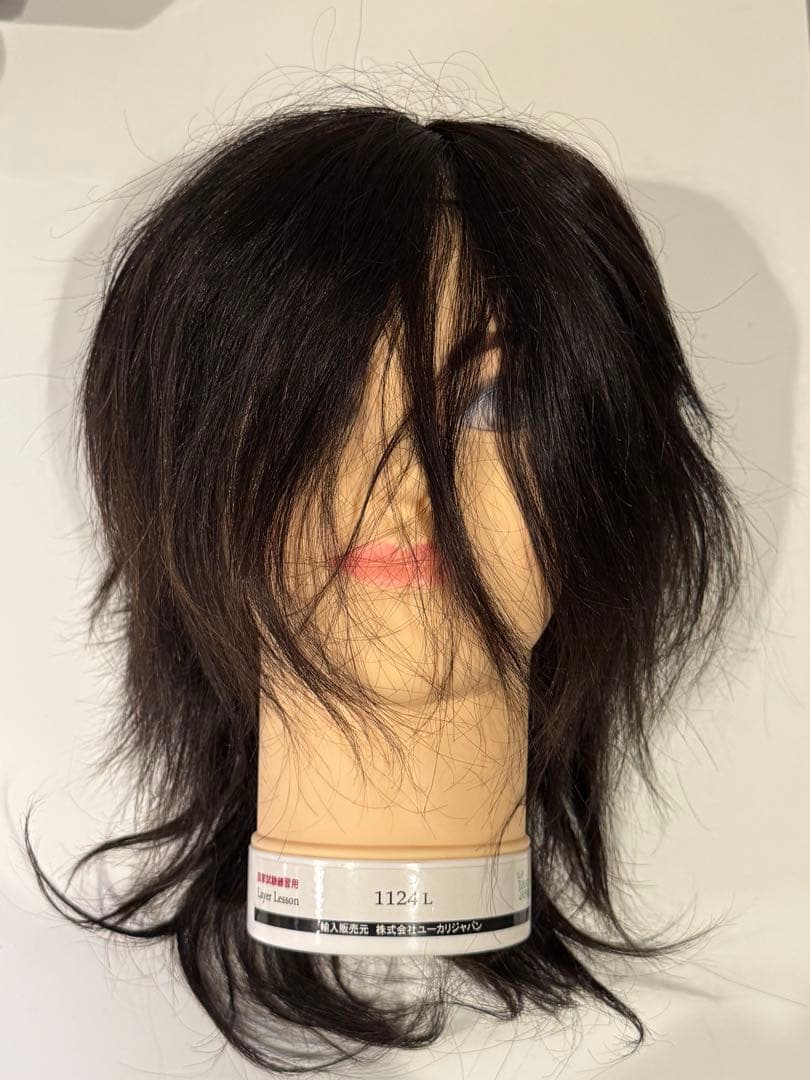 美容師国家試験用ワインディングセット カットウィッグ未使用