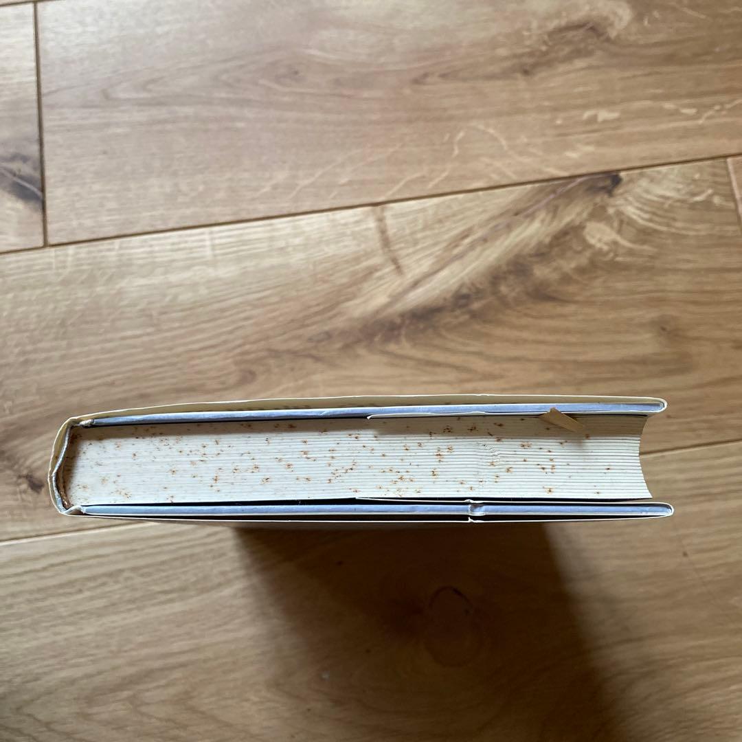 ポストモダン地理学 批判的社会理論における空間の位相