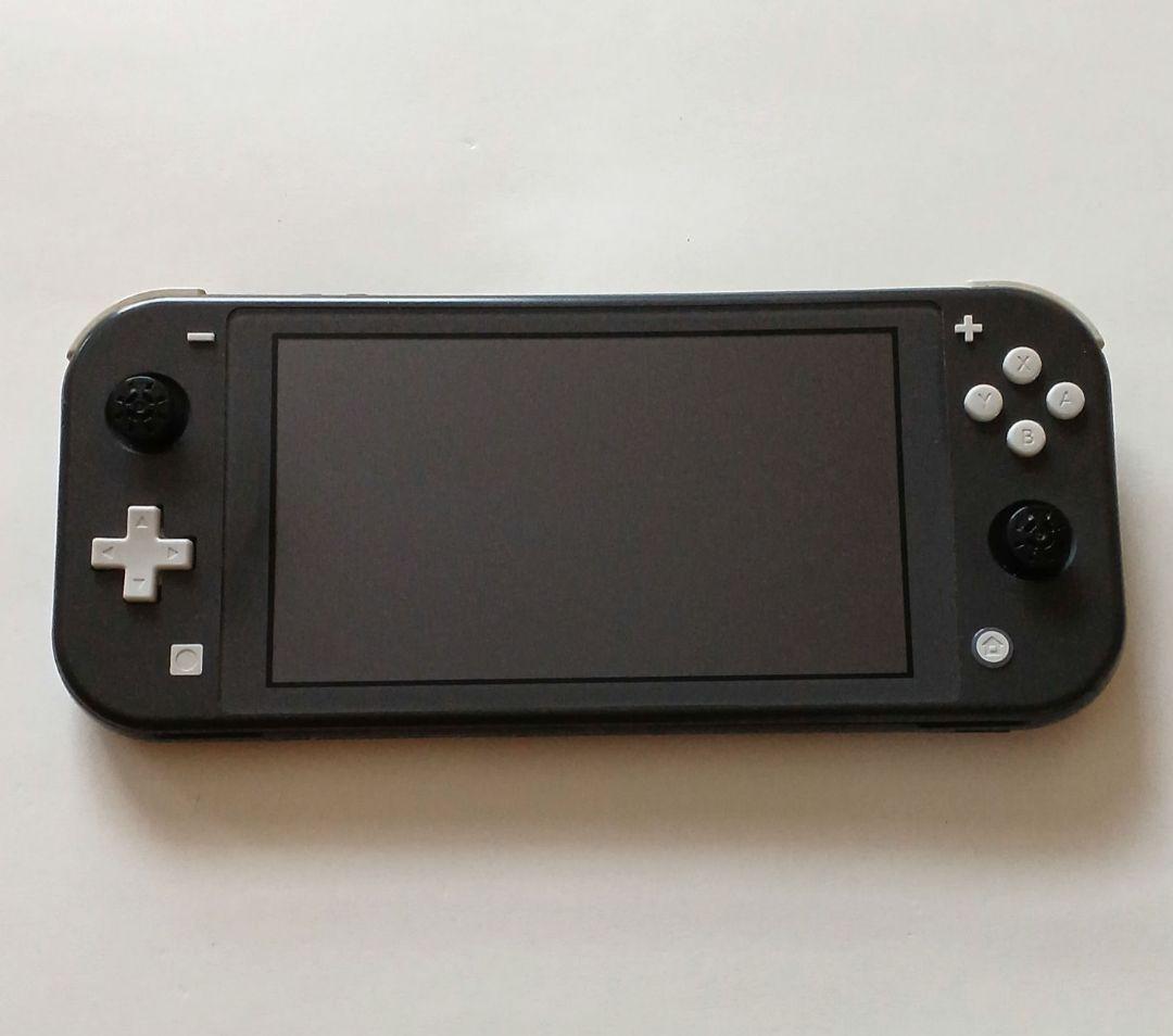 【ジャンク品】Nintendo Switch Lite　本体＋ケース