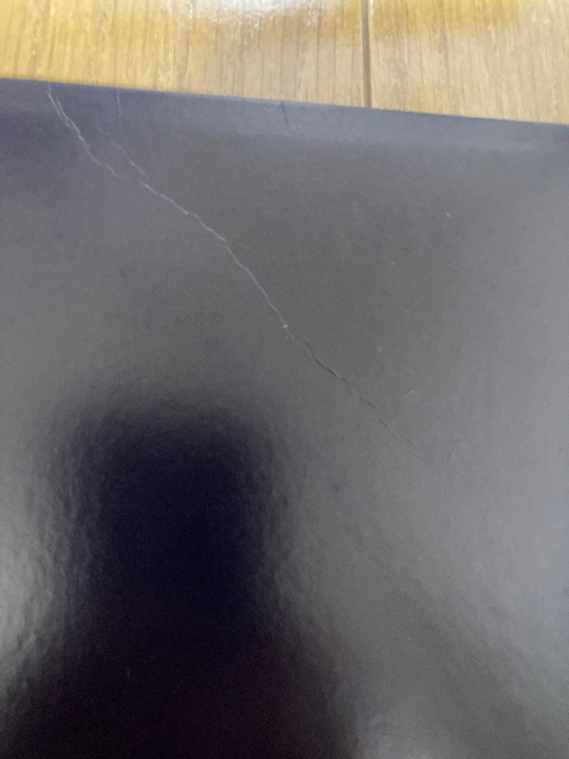 稀少アルゼンチン轟音ルーリード写真集付エクスタシーLou Reedレコード