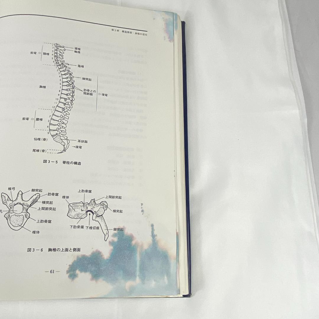無痛バランス療法Ⅱ 解剖生理学的機能診断編