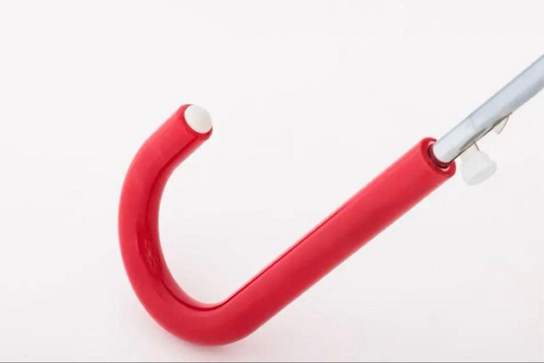 HYSTERIC MINI UMBRELLA BOOK 60cm 2本