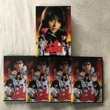 セーラー服反逆同盟 DVD BOX【中山美穂】 主演