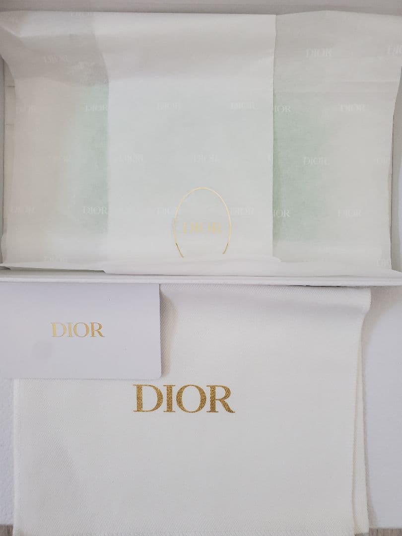 未使用　dior フラグメントケース カナージュ ミントグリーン