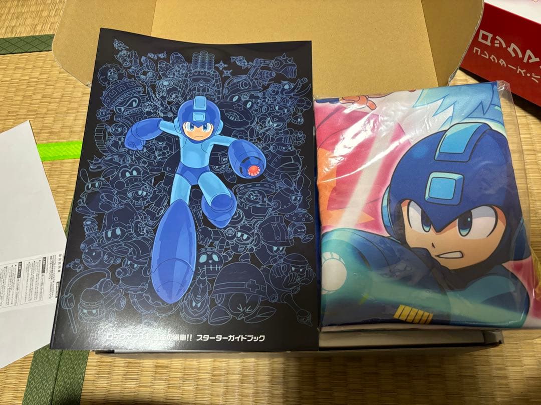 ロックマン11運命の歯車‼︎コレクターズパッケージ amibo同梱版