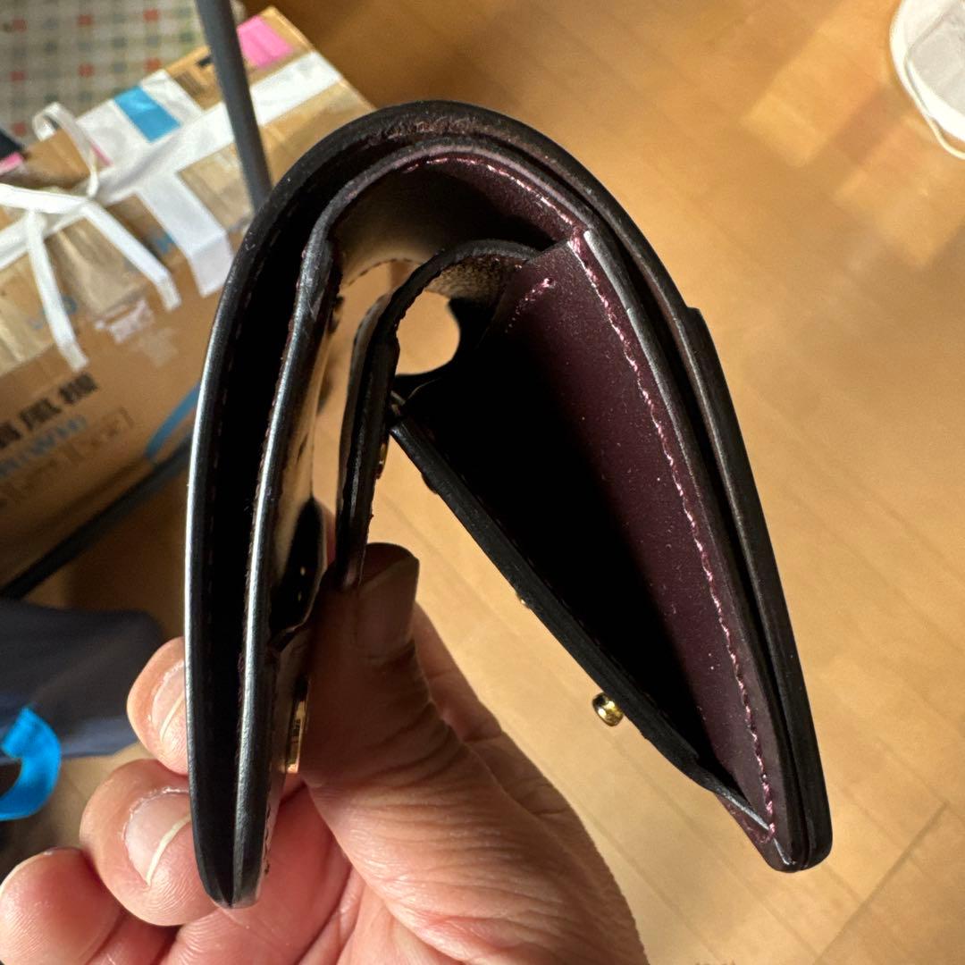 ワイルドスワンズカーサ