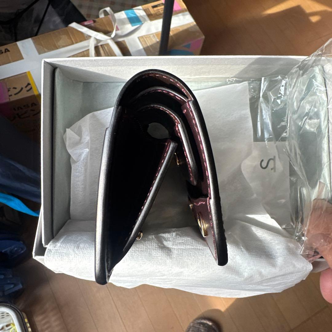 ワイルドスワンズカーサ