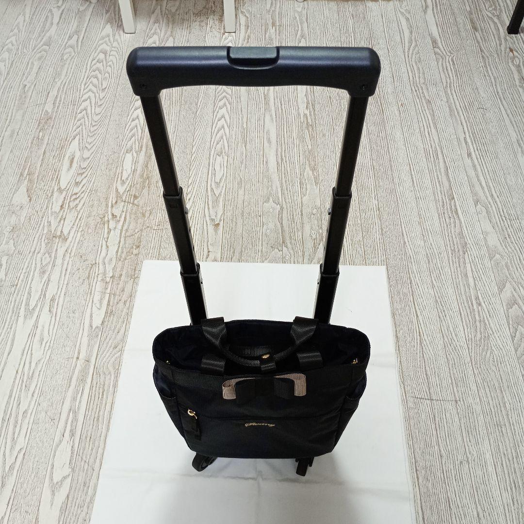 【美品】 Swanyスワニー ルバンド キャリーバッグSサイズ　グログランリボン