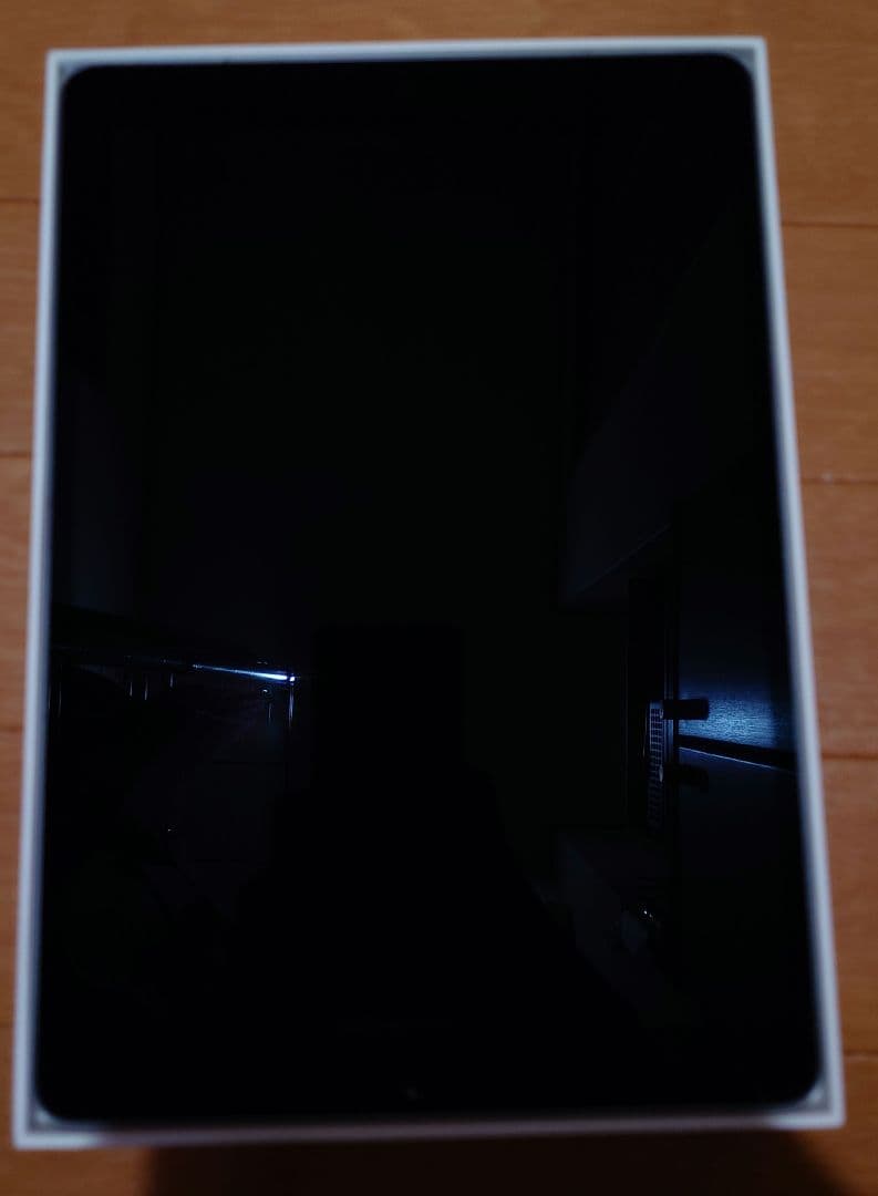 ipad pro 10.5インチ 256GB スペースグレイ 箱付き