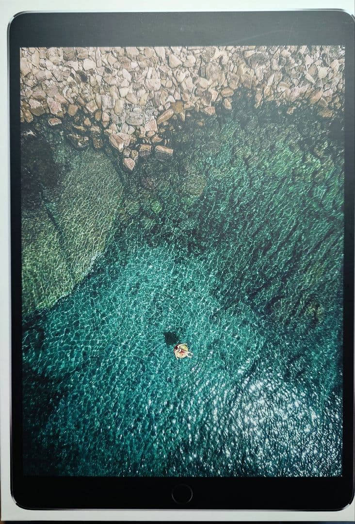 ipad pro 10.5インチ 256GB スペースグレイ 箱付き