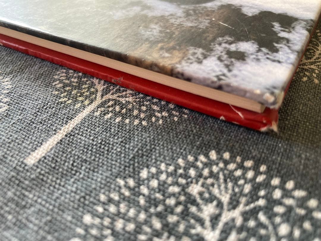 Pixie felt 　【貴重】ニードル　フェルト針を使ったピクシーフェルト