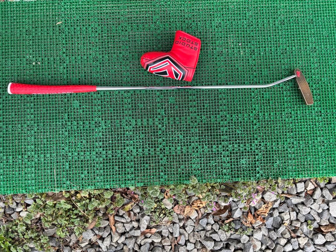 激レア BETTINARDI Silicon Bronz TEST 1-10