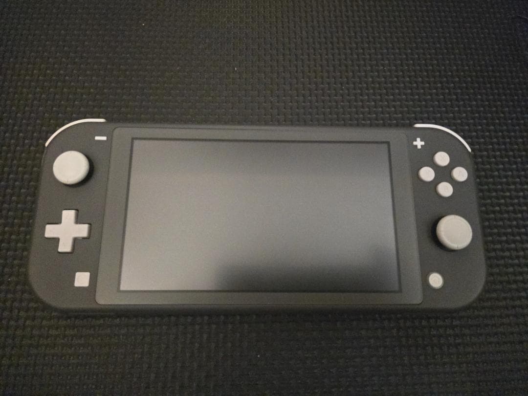 Nintendo Switch Lite グレー（動作確認済み）+おまけ