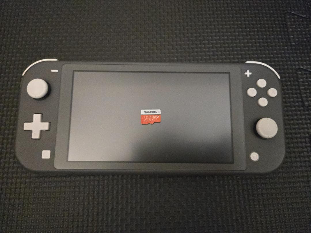 Nintendo Switch Lite グレー（動作確認済み）+おまけ