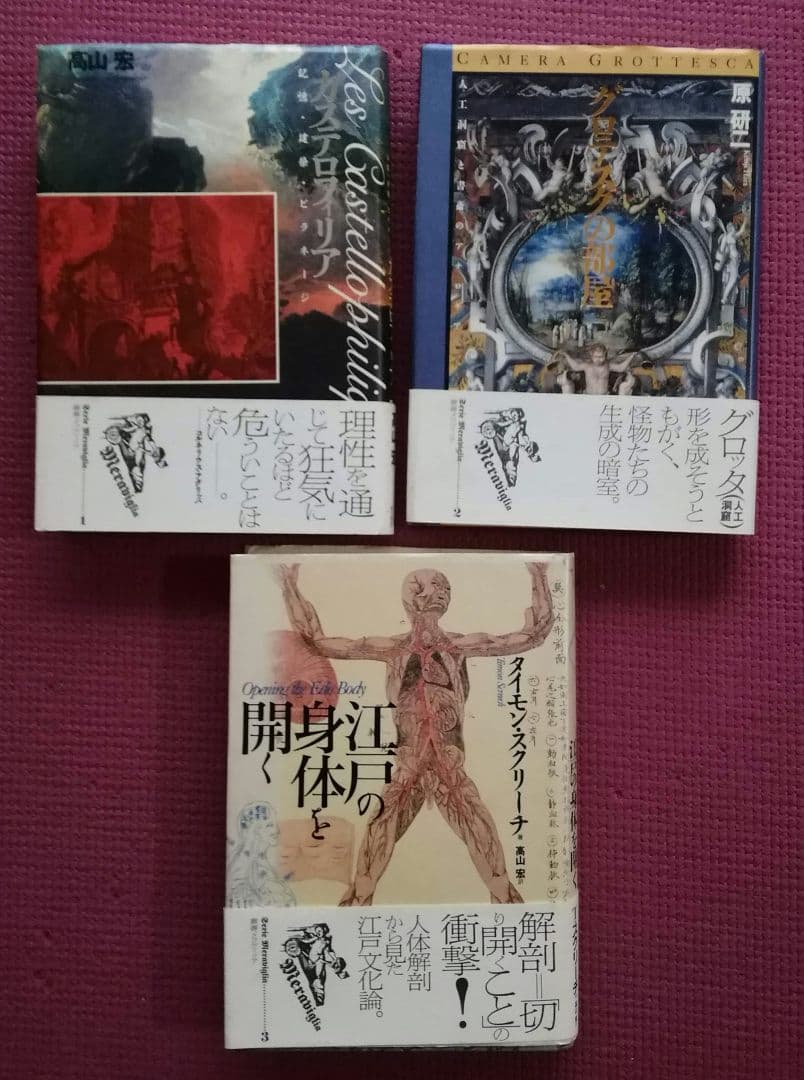 叢書メラヴィリア　初版　カステロフィリア　グロテスクの部屋　江戸の身体を開く
