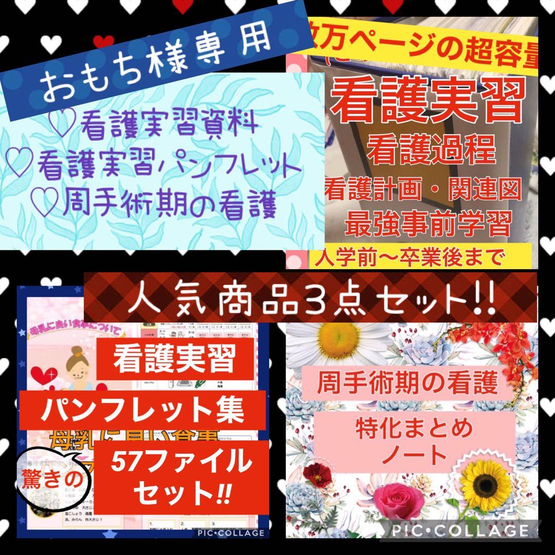 専用 看護学校 看護学生 看護実習 手順書 関連図 計画 国家試験 実習資料