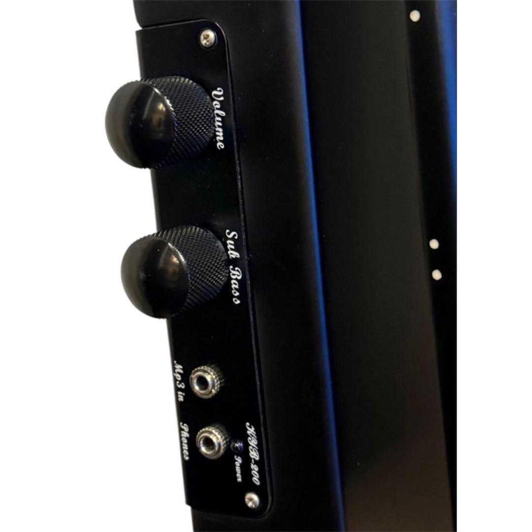 【美品】Hallstatt WBSE-850 KYB200アップライトベース