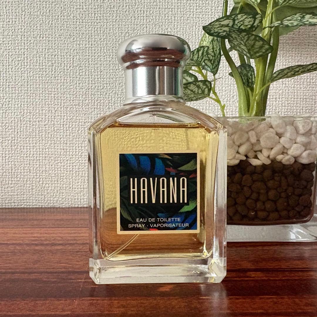 アラミス ハバナ オードトワレ 100ml