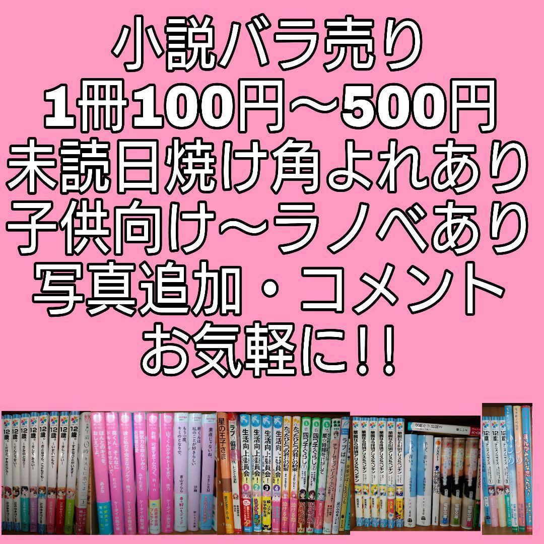 小説 バラ売り