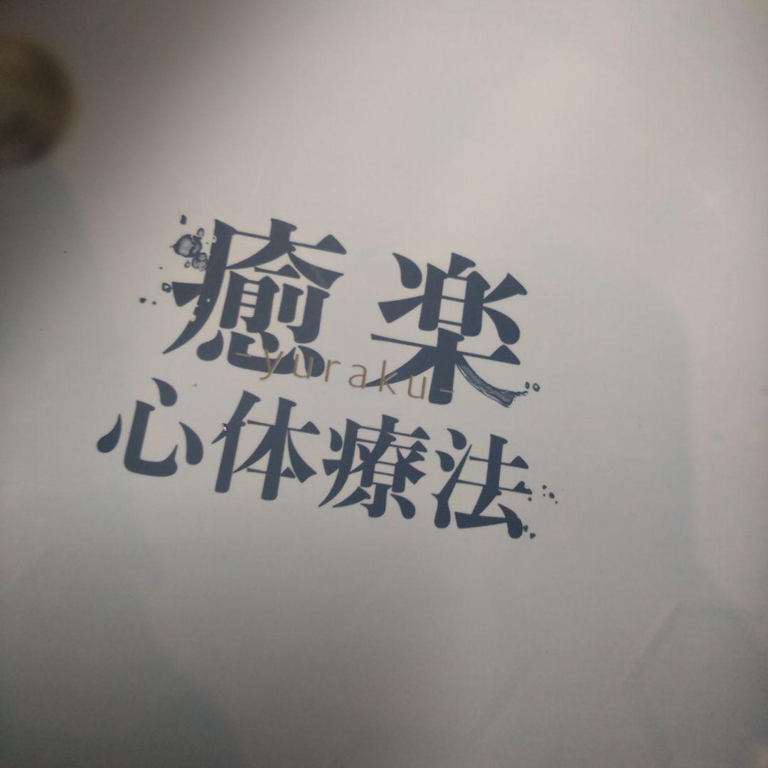 癒楽 心体療法 DVD 冊子セット