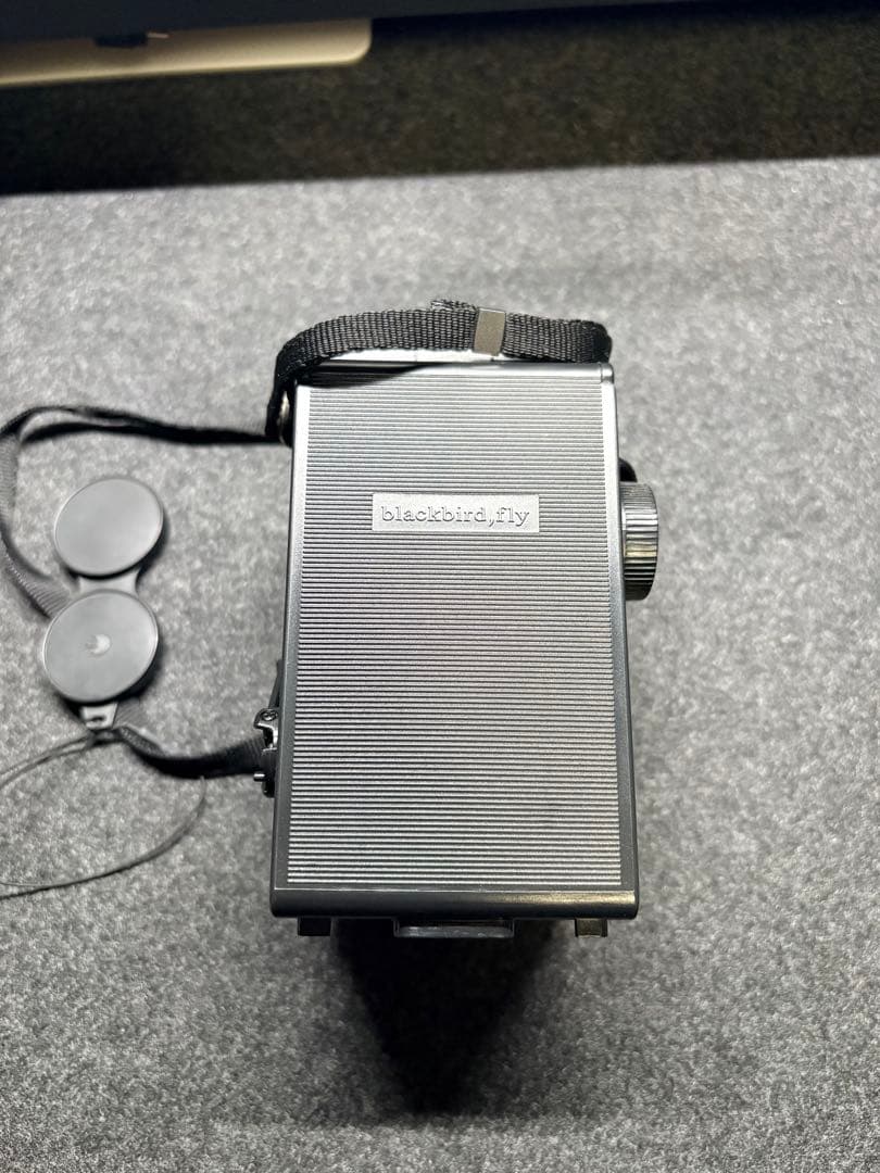 blackbird.fly 二眼 トイカメラ