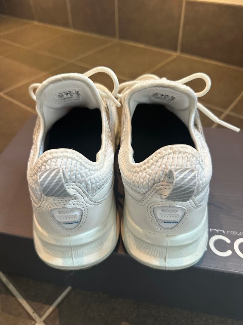 エコー バイオム C4 EG130404 スパイクレス ゴルフシューズ　24.5