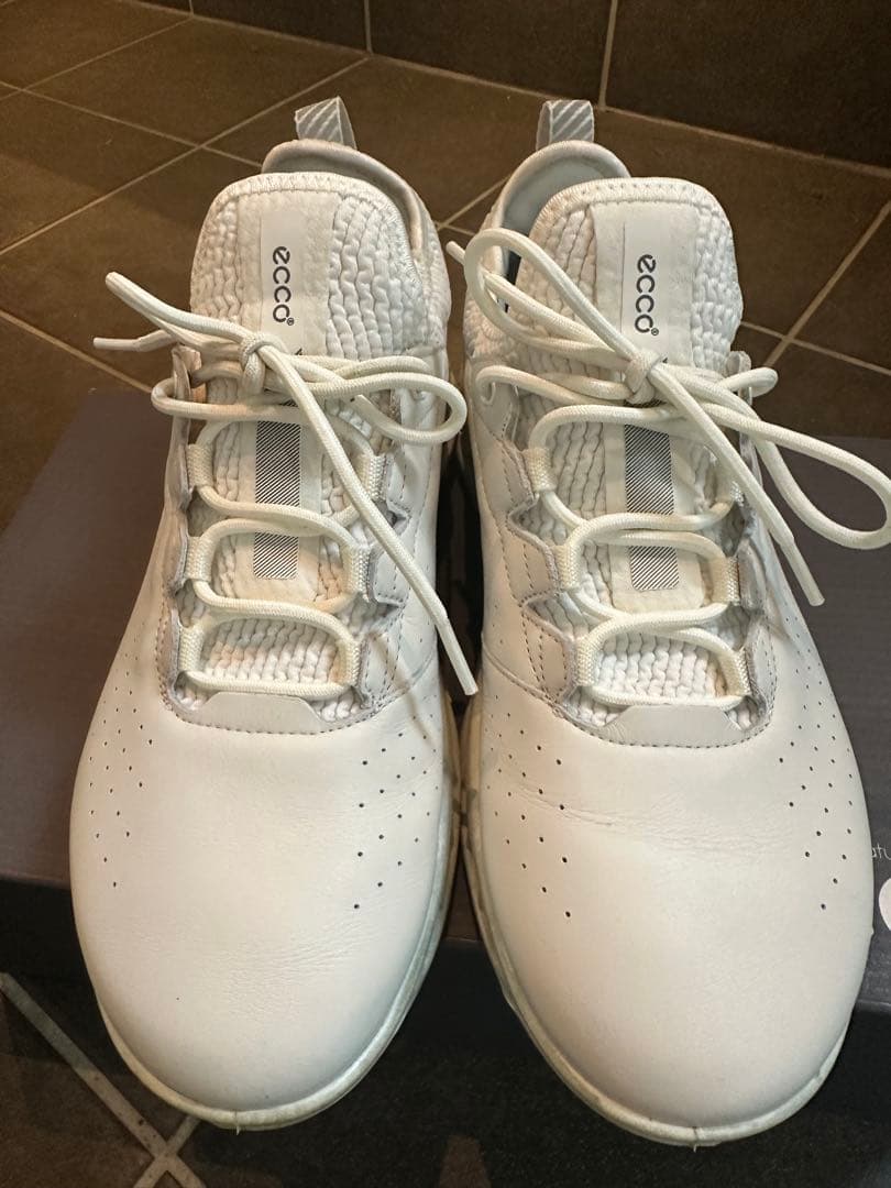 エコー バイオム C4 EG130404 スパイクレス ゴルフシューズ　24.5