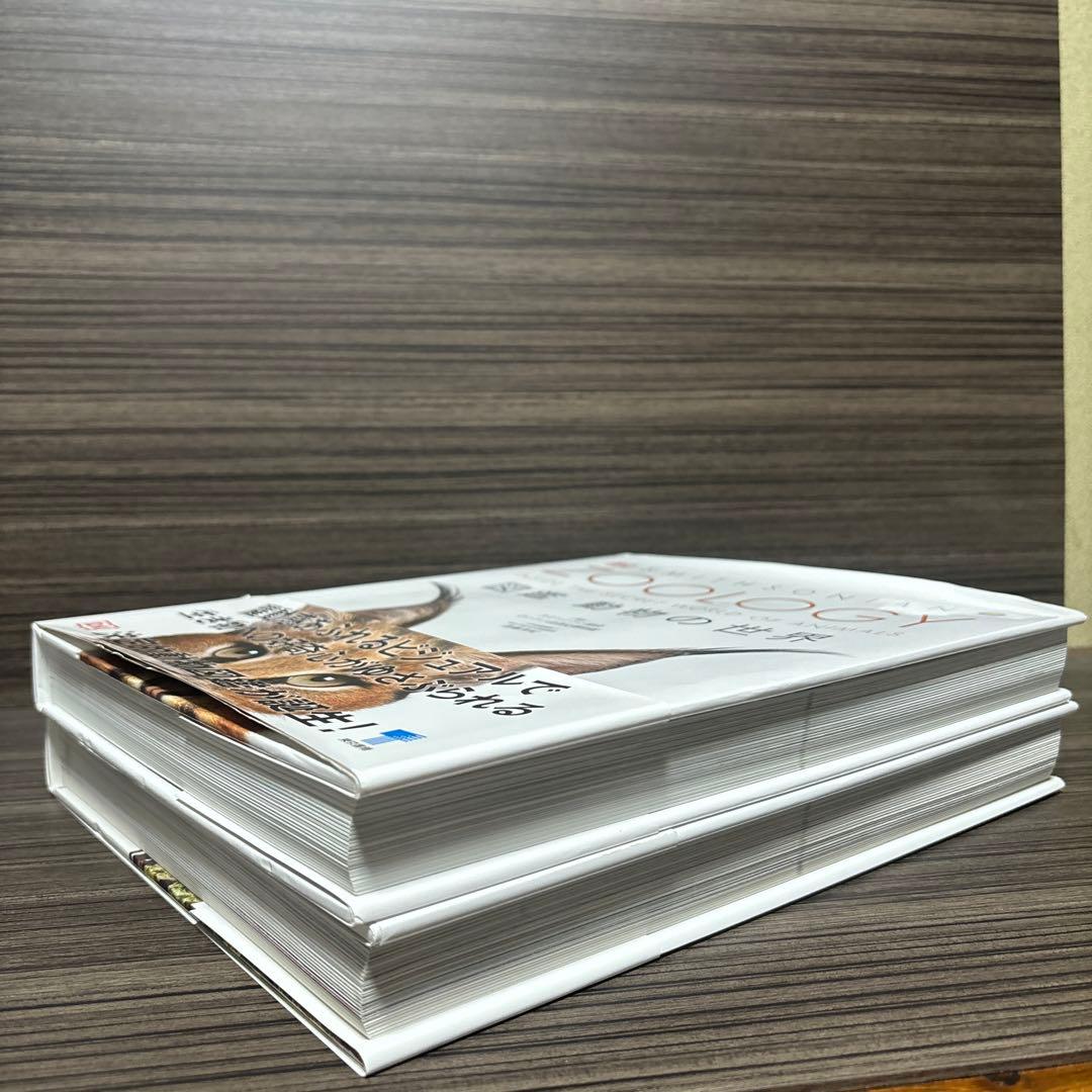 OCEAN LIFE 図鑑 海の生物　動物の世界