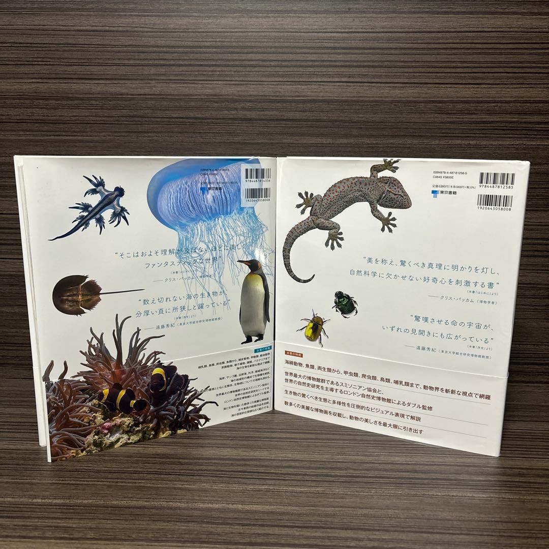 OCEAN LIFE 図鑑 海の生物　動物の世界