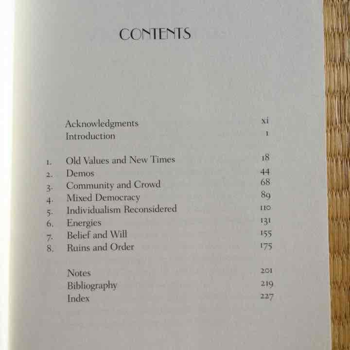 洋書 Ronald Berman The Great Gatsby