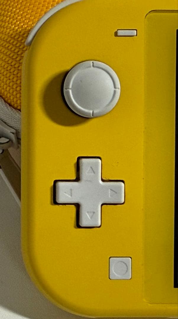 Nintendo Switch Lite イエロー 充電器、ケース付き