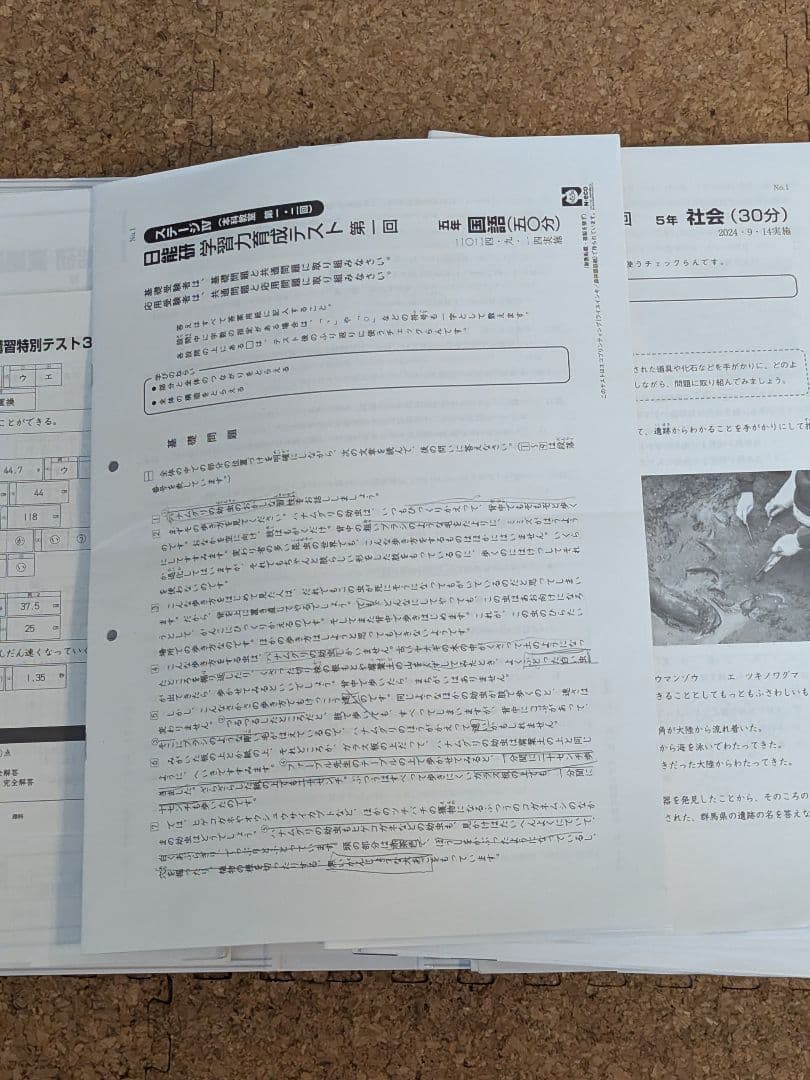 2024年　日能研　4教科　テスト　5年生　全16回分