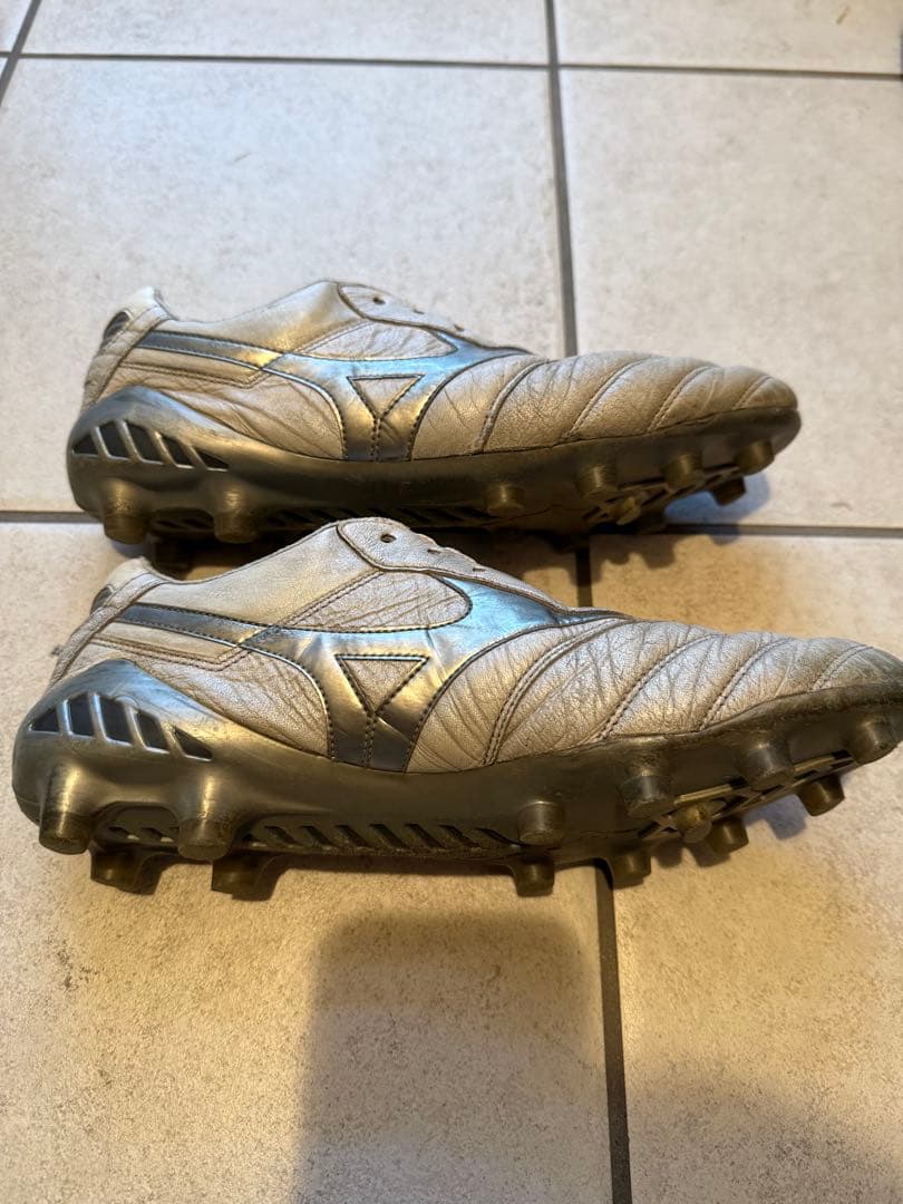 モレリアDNA 26㎝