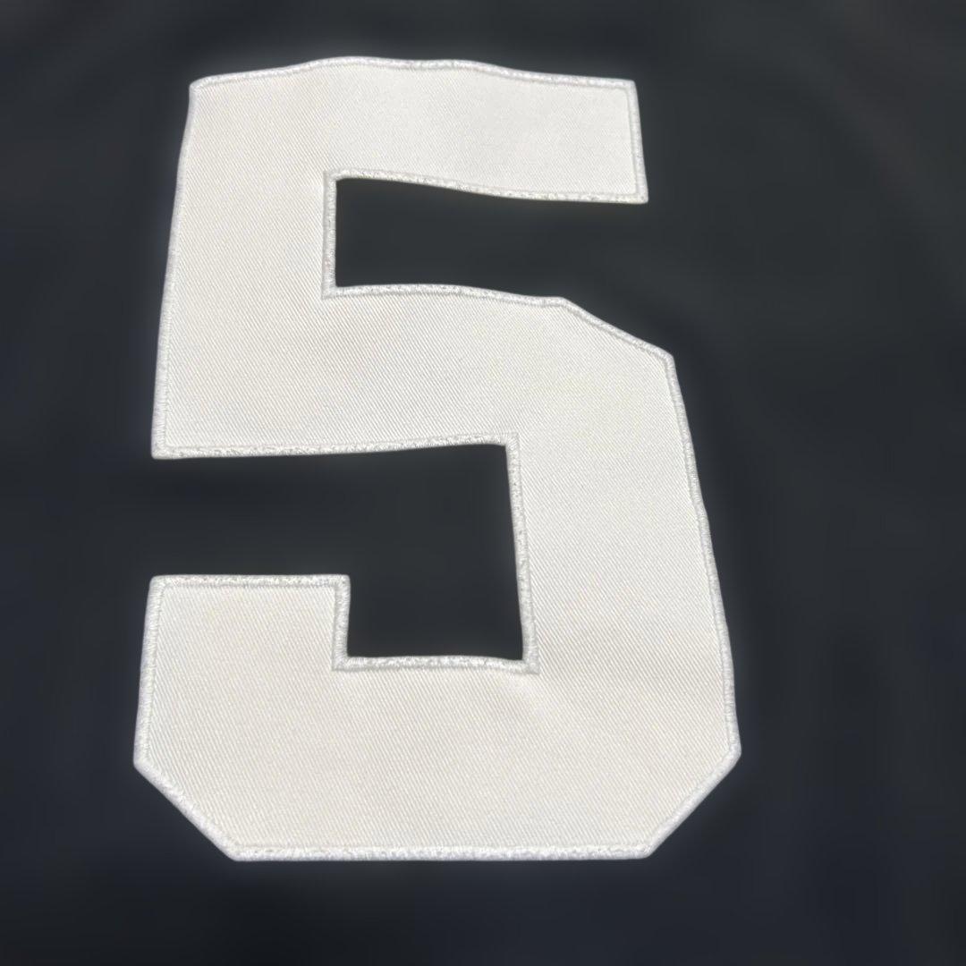 67です　　ラルフローレン ビッグポニー ポロシャツ ニューヨーク