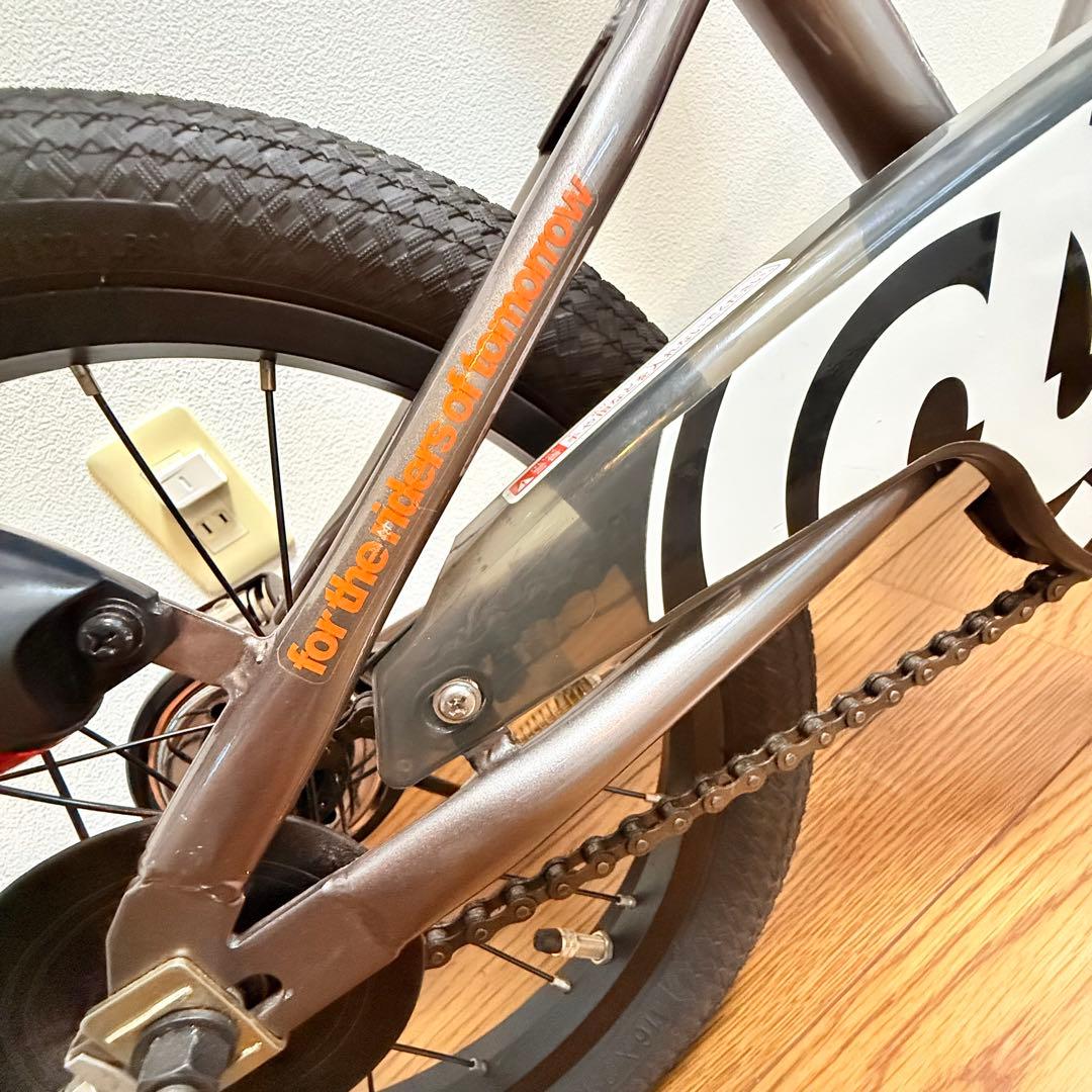 d-bike MASTER 16 バランスバイク 16インチ　自転車　練習