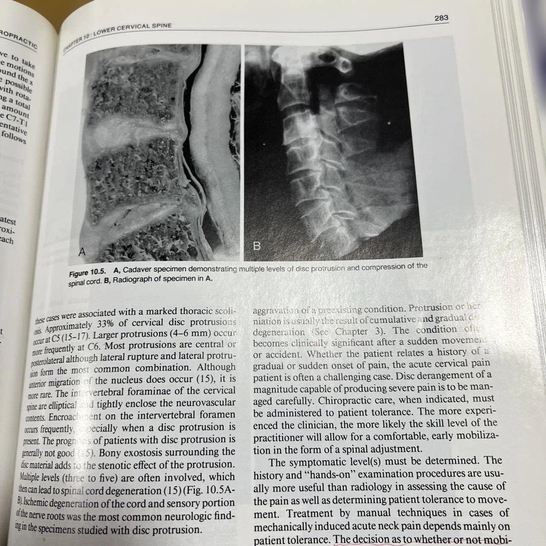 解剖学・神経診察関連書籍セット　まとめて４冊