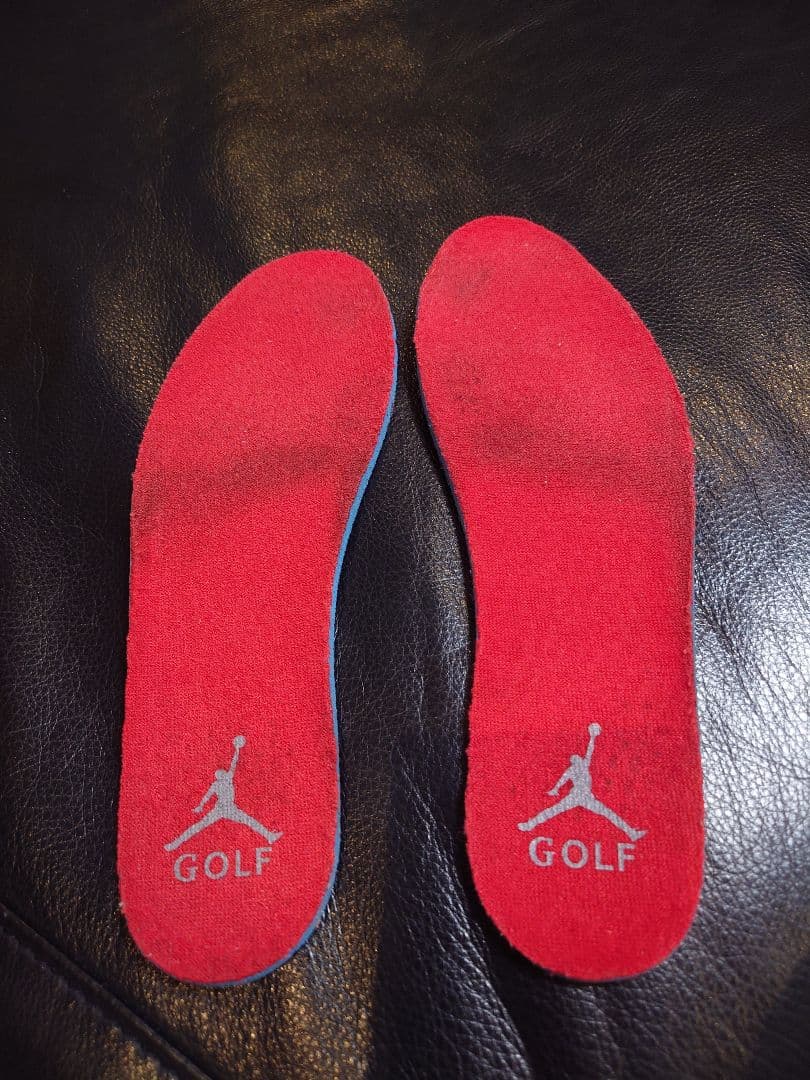 Jordan Air Jordan 4 ゴルフ　29.0cm更に値下げしました