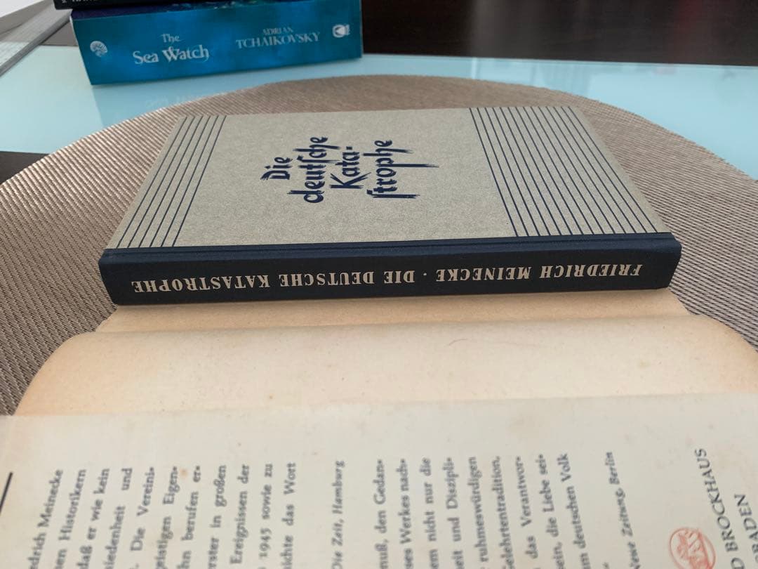 希少　Die deutsche Katastrophe